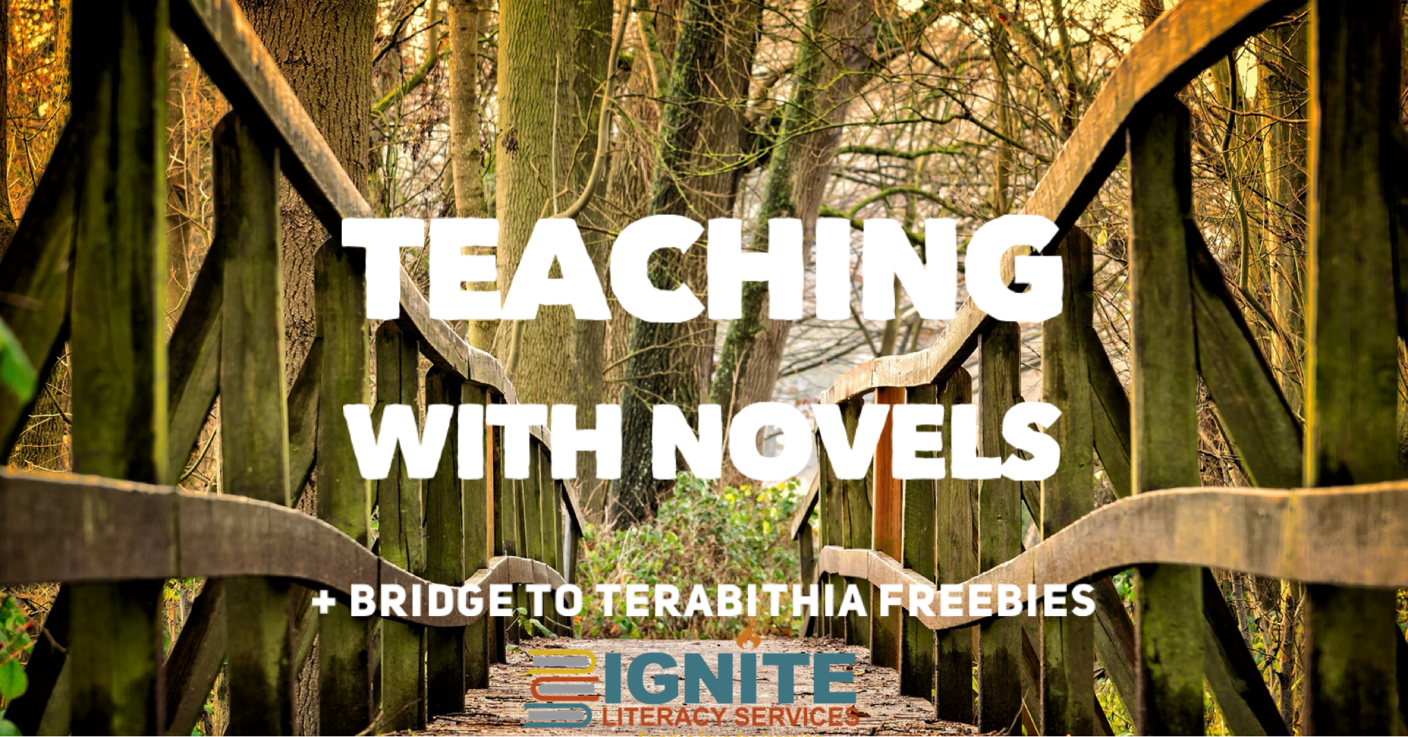 Teaching with Novels